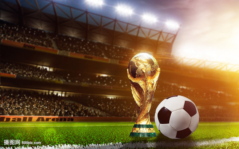 提供了真实 提供了真实